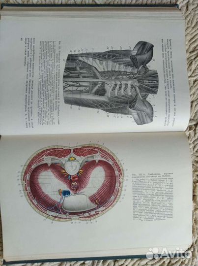 Курс оперативной хирургии Островерхов