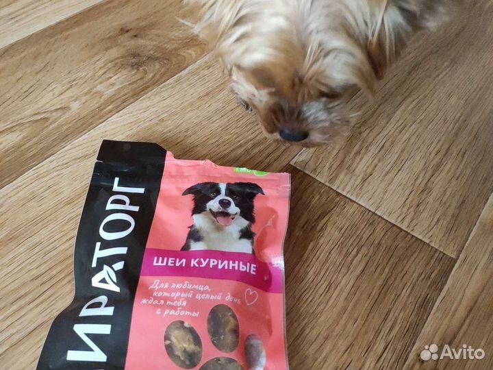 Корм для кошек и собак