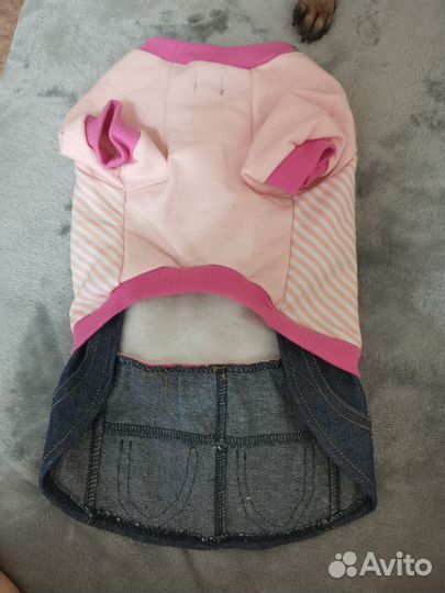 Одежда для собак