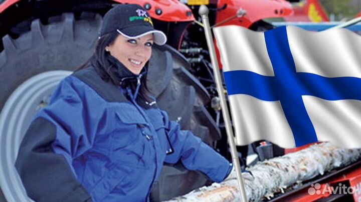 Внж Финляндии