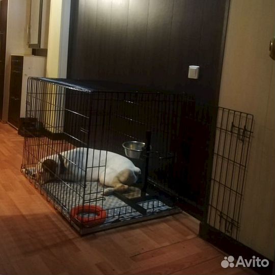 Клетка для большой собаки