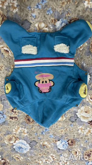 Одежда для животных