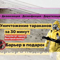 Травля тараканов Обработка клопов Дезинфекция