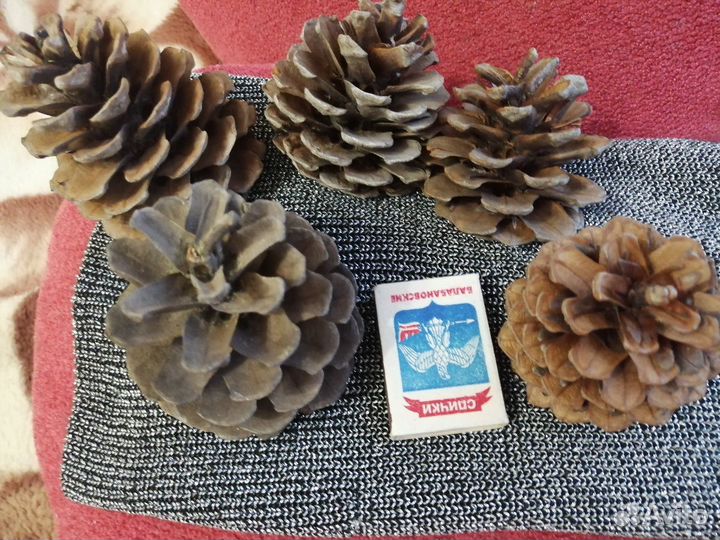 Шишки разные