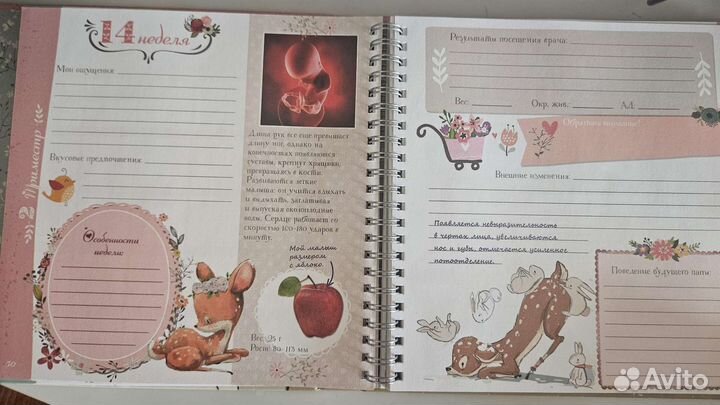 Дневник беременности