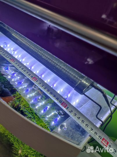 Аквариум 50 литров