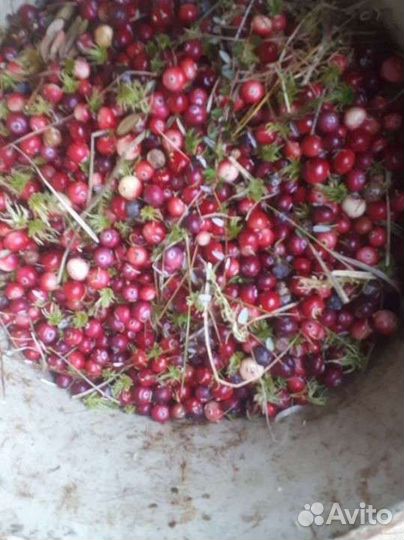 Продукты питания