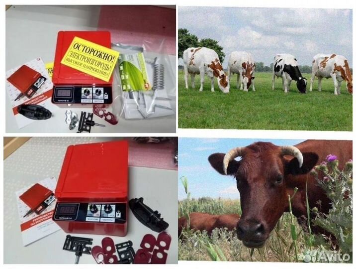 Электропастух