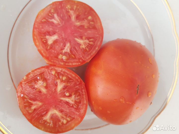 Cемена коллекционных томатов