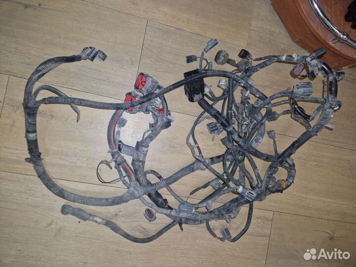 Моторная коса форд escape 2005 год