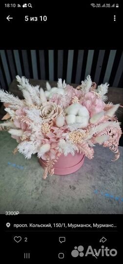 Сухоцветы цветы