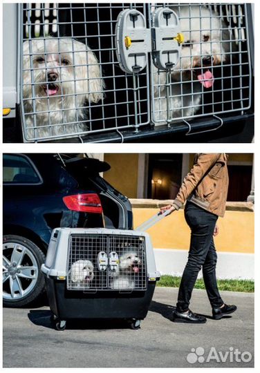 Переноска для собак в самолет