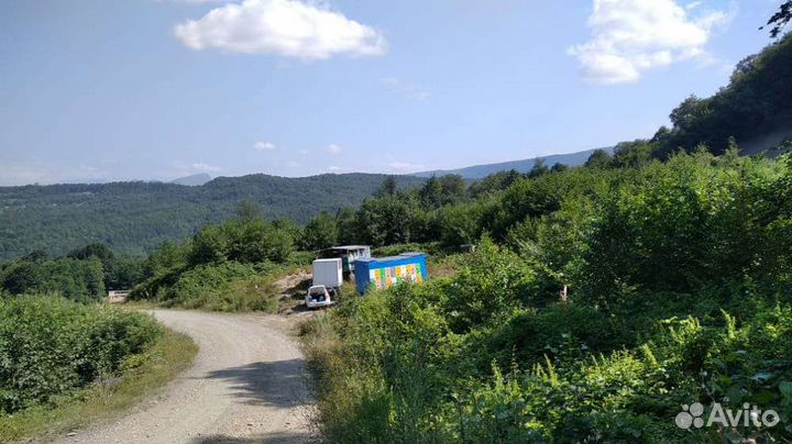 Павильон для пчел