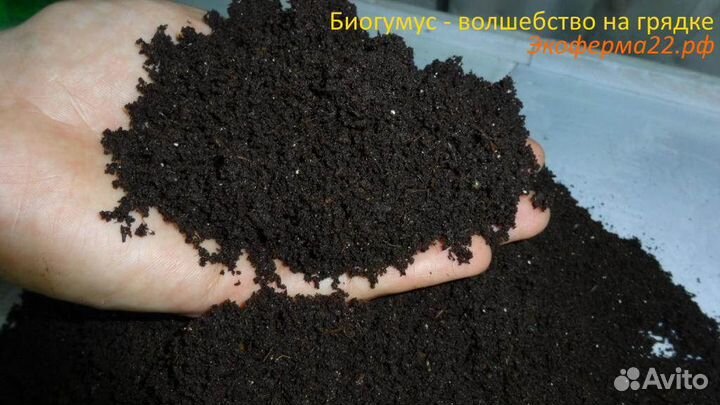 Биогумус