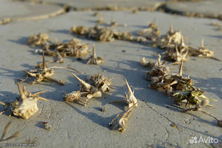 Антипрокольный герметик в вело-камеры
