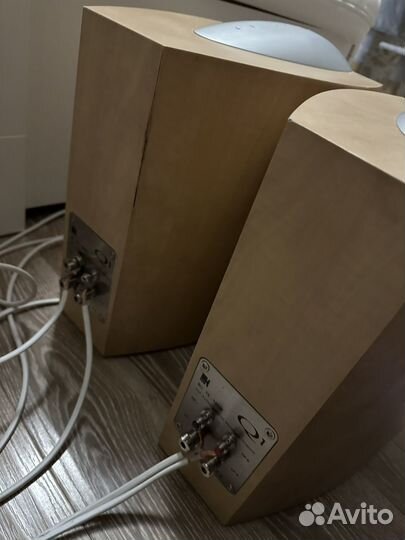 Колонки kef q1