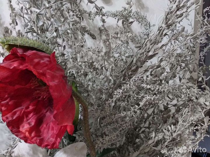 Ромашка, примула,полынь дек, вербена