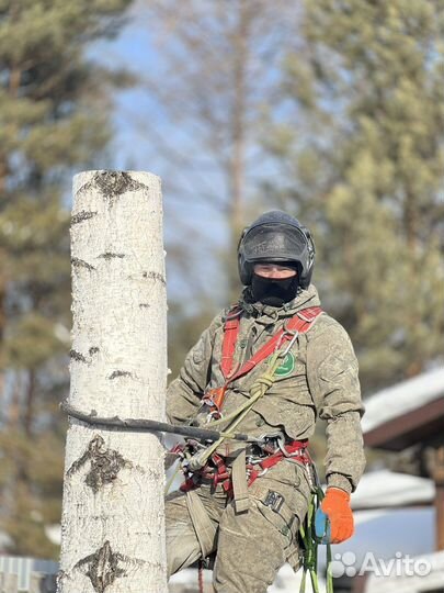 Спилить дерево