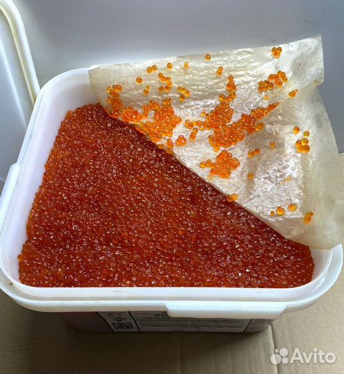 Икра кеты 2023