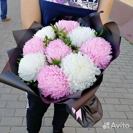 Хризантема одноголовая Иркутск