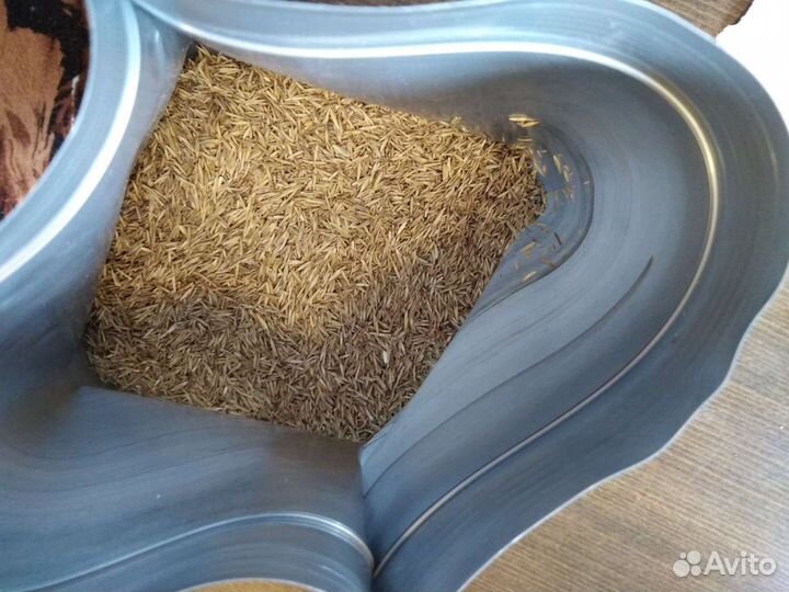 Семена газонной травы