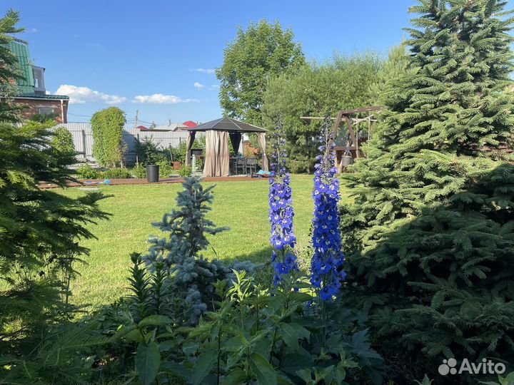 Озеленение, уход за садом