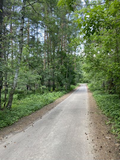 Участок 1,5 га (ИЖС)
