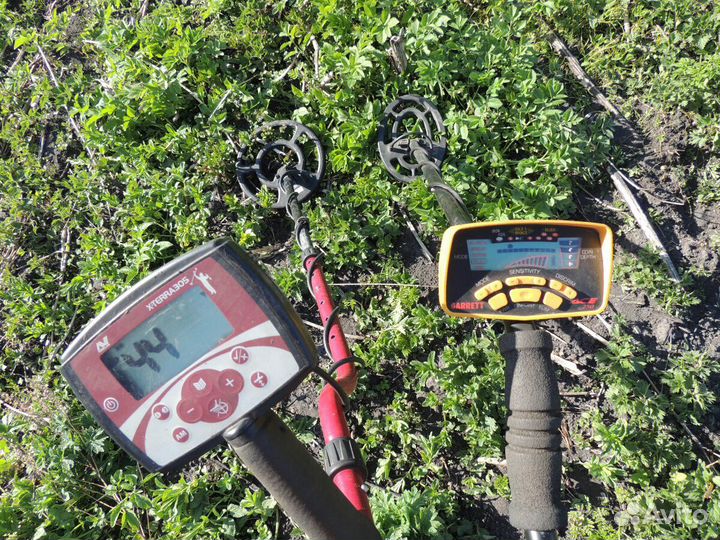 Металлоискатель Minelab X-Terra