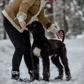 ОБЪЯВЛЕНИЯ