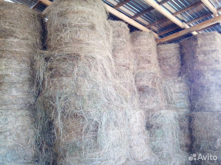 Сено с поля