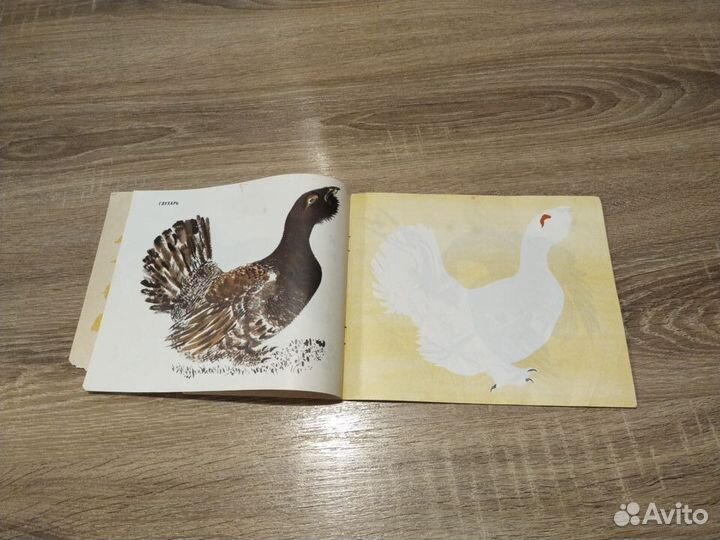 Альбом для раскрашивания. СССР