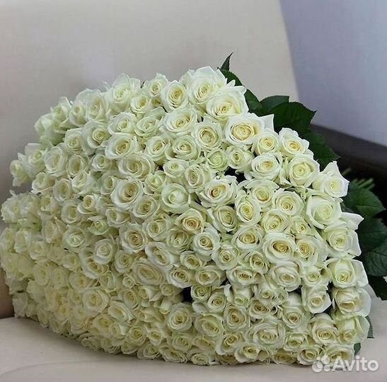 Розы Цветы Букеты 25 51 151 201 101 301 501 опт