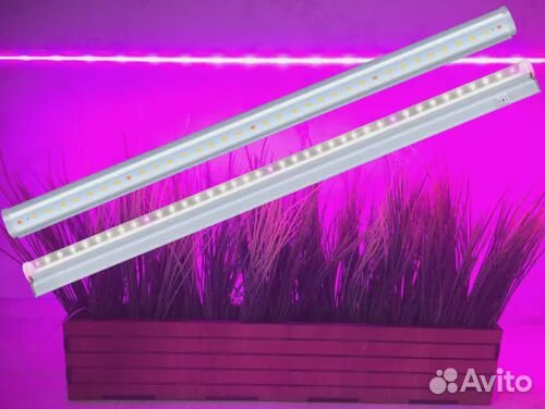 Фитолампа для растений (Новая)