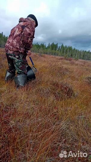 Грабли для сбора ягод