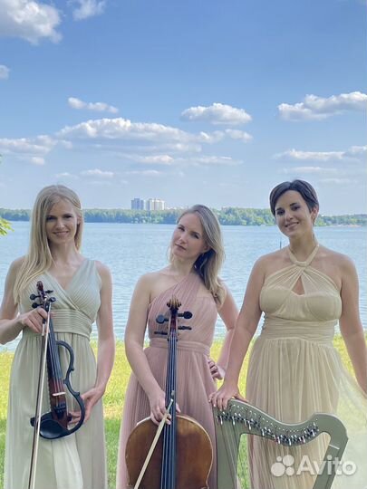 Музыканты на свадьбу