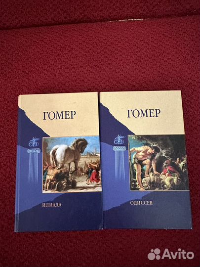 Гомер илиада одиссея 2 книги