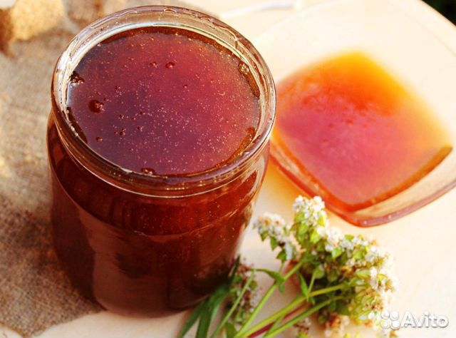 Свежий гречишный Мед 22 года