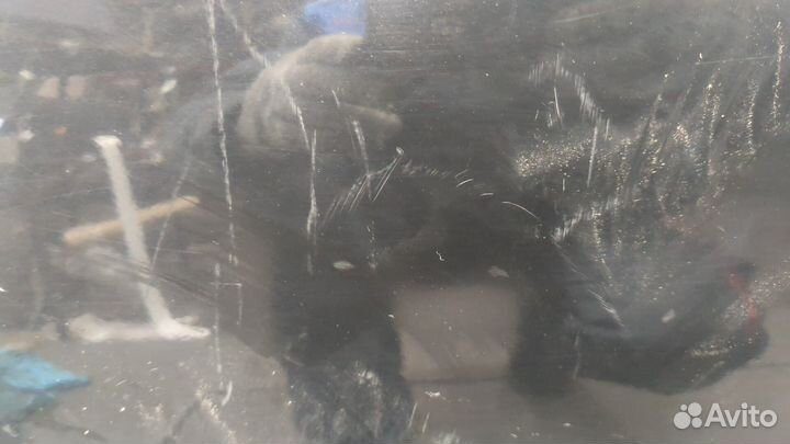 Дверь боковая Volvo V50, 2011