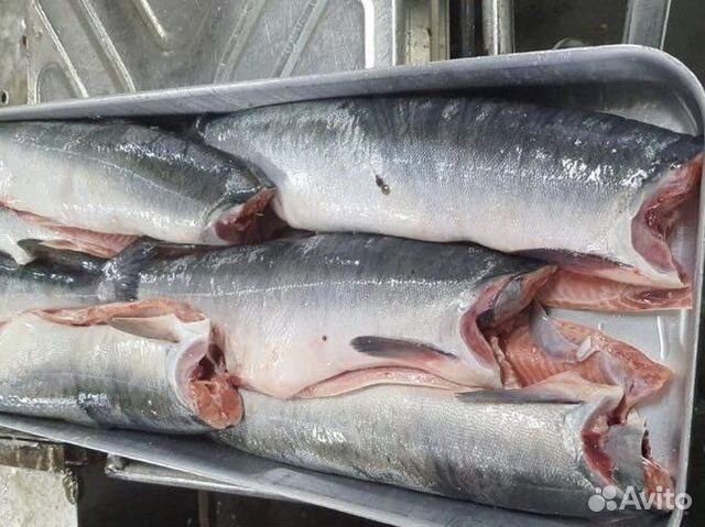 Горбуша свежемороженая