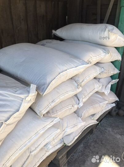 Свинина домашняя