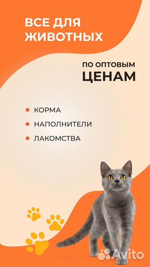 Корм для собак и кошек