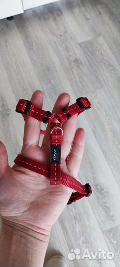 Шлейка для маленькой собаки Rogz