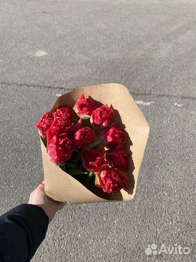 Тюльпаны на 8 марта