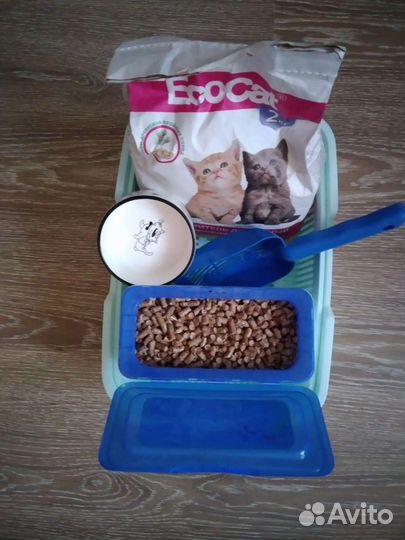 Набор для котёнка, кошки