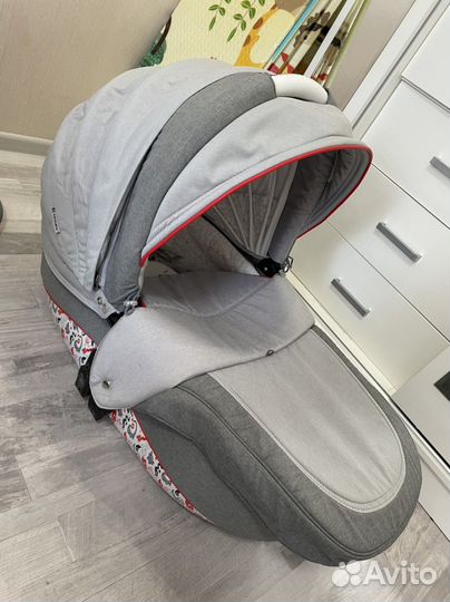 Коляска 2 в 1 adamex barletta