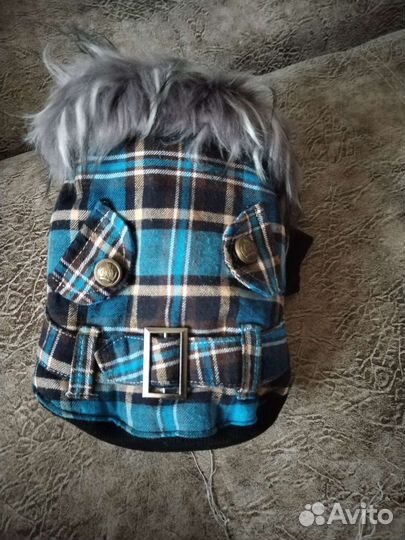 Вещи для маленьких собак