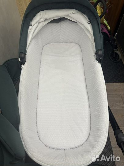 Коляска tutis viva life 2 в 1