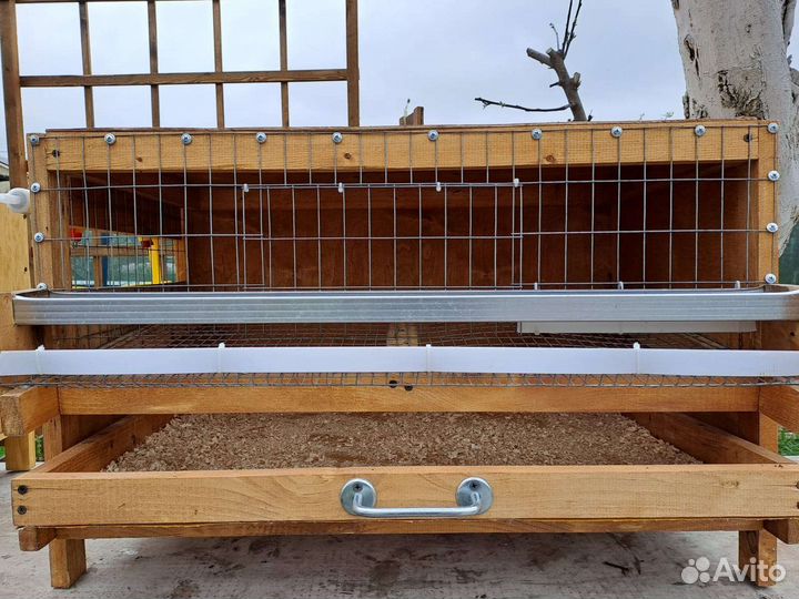 Клетка для перепелов