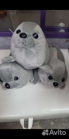 Нерпа серая