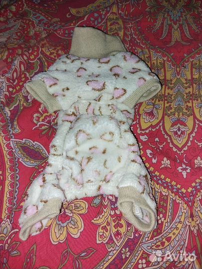 Комбинезон для маленькой собачки